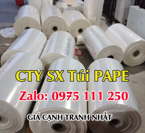 Công ty chuyên sản xuất túi pa